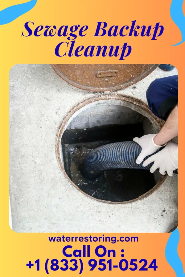 Sewage Backup Cleanup in Frazeysburg, OH