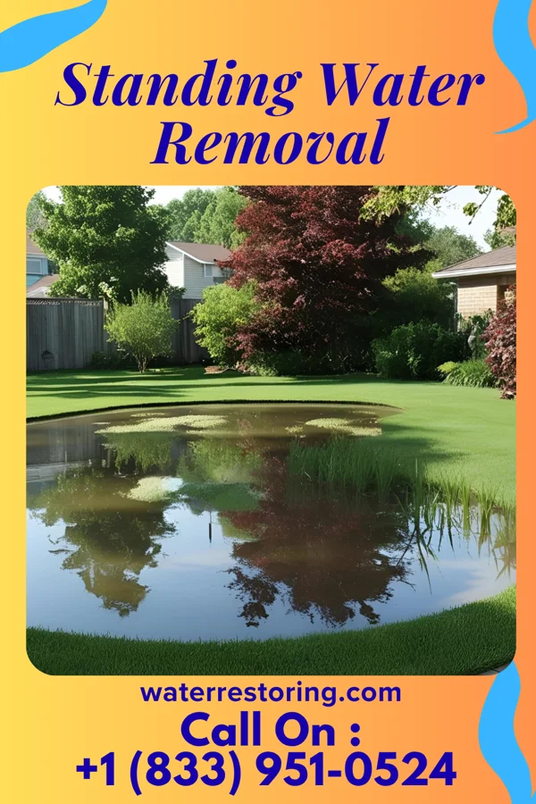 Standing Water Removal in Frazeysburg, OH
